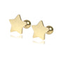 Aretes Broquel Estrella Pequeña Niña Espejo Oro Laminado 14k