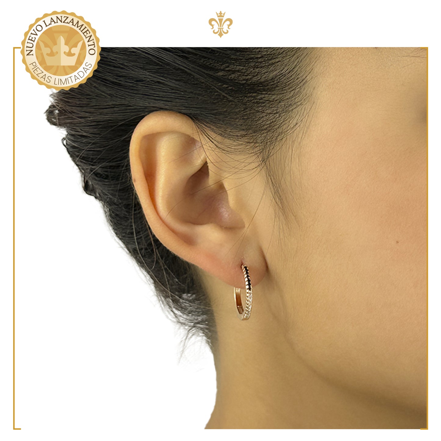 Aretes Arracaditas Elegantes Bicolor En Oro Laminado 18k Diamantados